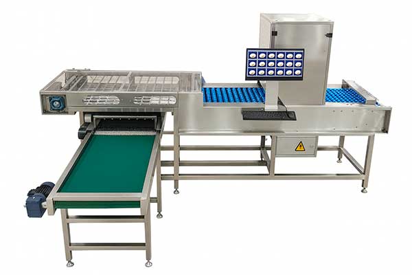 Визуальные AI детекторы — ZENYER