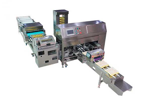 Упаковка яиц в птичнике — ZENYER