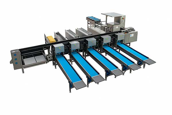 Автоматическая сортировка и упаковка — ZENYER