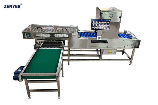 Визуальный ИИ детектор скорлупы 410S / 430S