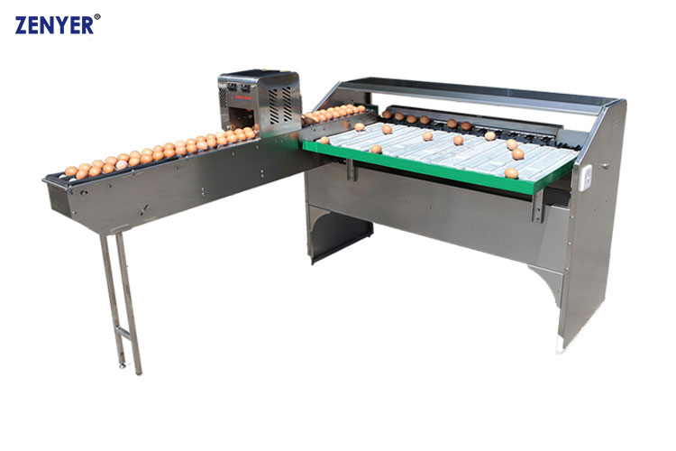 Машина для сортировки яиц | модель: 101B с установленным принтером маркировщиком (опция). Производительность: 4000 яиц в час.