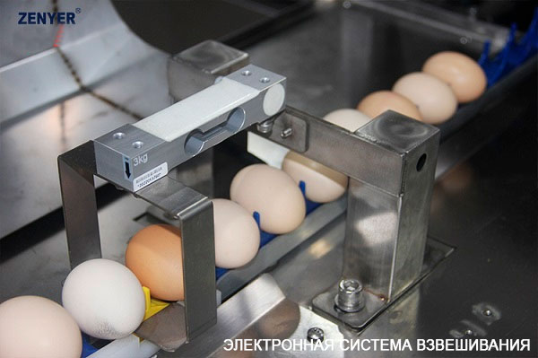 Машина для сортировки яиц (Электронная система сортировки) | модель: 104B. Производительность: 10000 яиц в час.