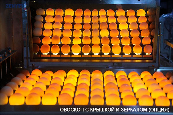 Машина для сортировки яиц (Овоскоп с крышкой и зеркалом - при использовании накопителя 605А) | модель: 104B. Производительность: 10000 яиц в час.