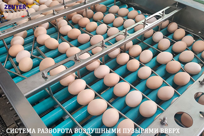 Машина для сортировки и автоматической и ручной упаковки яиц | модель: 107. Производительность: 20000-25000 яиц в час.