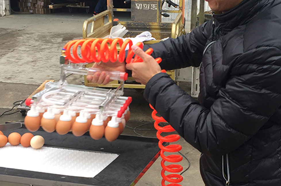 Вакуумный подъемник для загрузки яиц | модель: 602. Производительность: 40000 яиц в час.