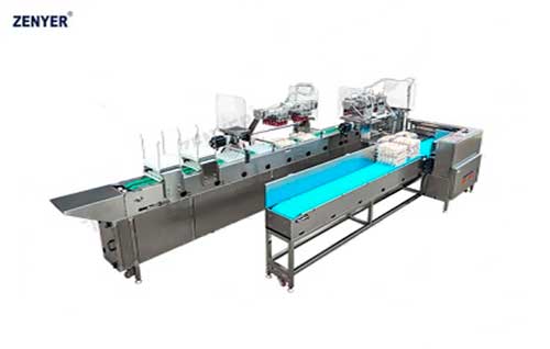 Вакуумный подъемник ZYS-ZK-2J30 (615A) — фото