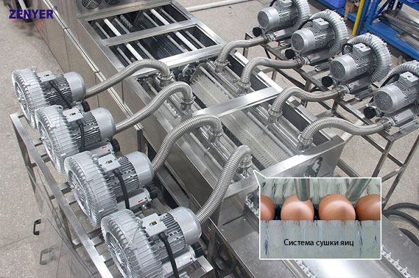 Линия для мойки и разбивки яиц | модель: 301C. Производительность: 20000 яиц в час.