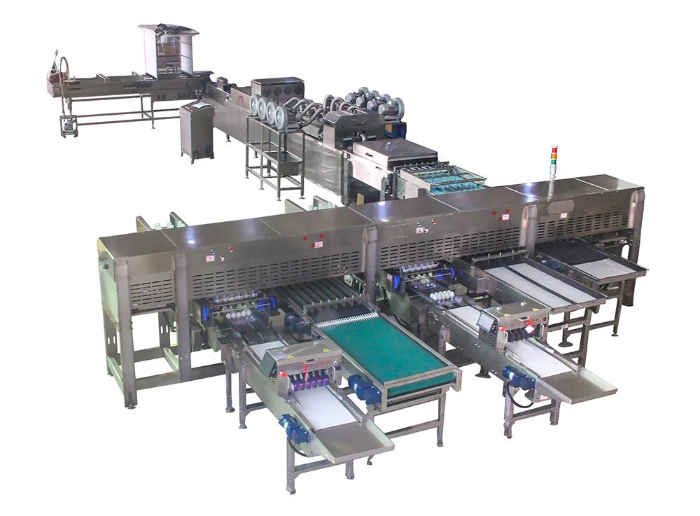Машина для сортировки и автоматической и ручной упаковки яиц | модель: 303A. Производительность: 20000 яиц в час.