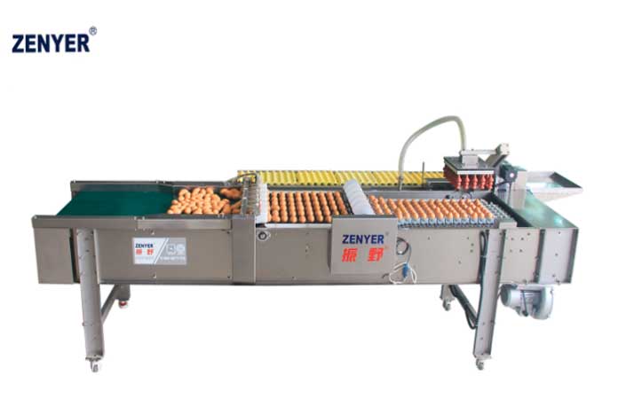 Автоматический упаковщик яиц Farm Packer FBD170 (711A) — фото