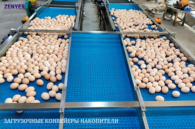Машина для автоматической упаковки яиц в лотки по  30 штук;. Автономная машина | модель: 714 Farm Packer. Производительность: 55000 яиц в час.