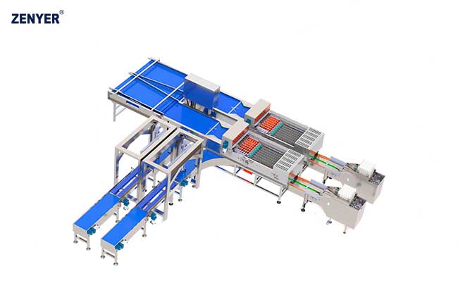 Автоматический упаковщик яиц Farm Packer XBF-60 (714B) — фото