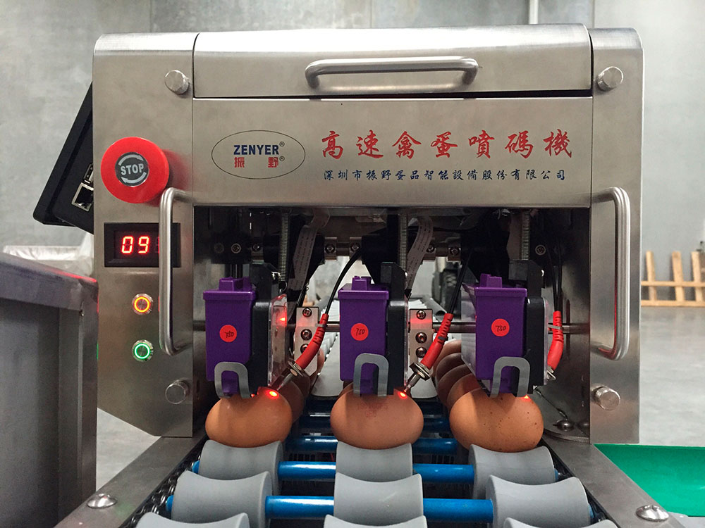Принтер маркировщик для яиц | модель: 403H. Производительность: 5400 яиц в час.