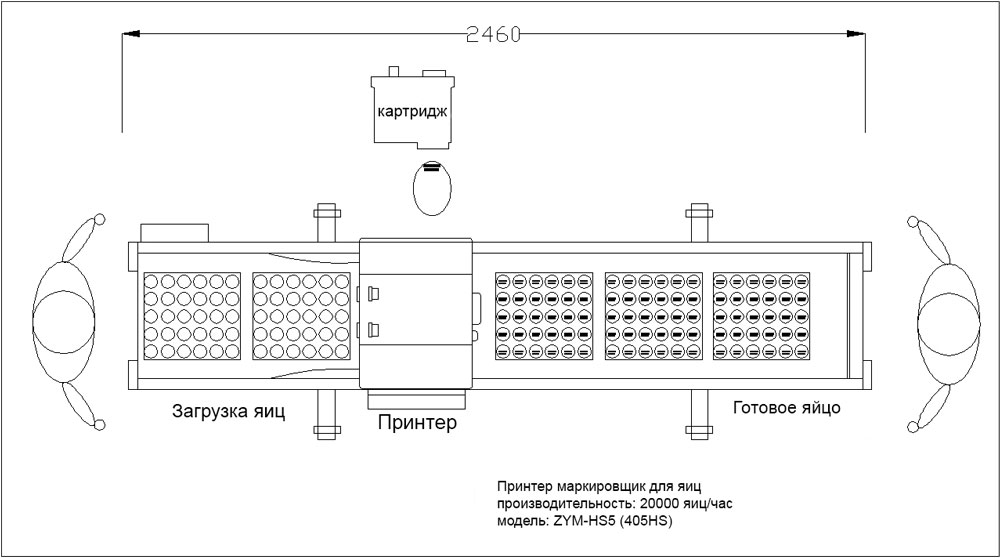 Схема принтера маркировщика для яиц автономный | модель: 405HS. Производительность: до 30000 яиц в час.