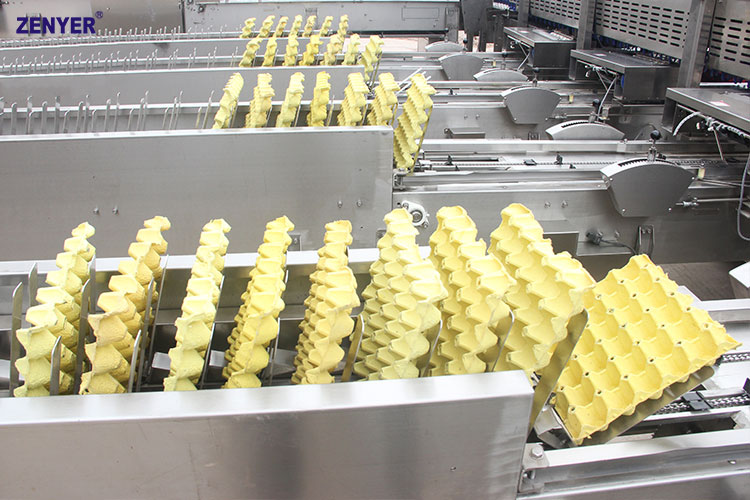 Линия автоматической упаковки яиц | модель: 104A. Производительность: 10000 яиц в час.