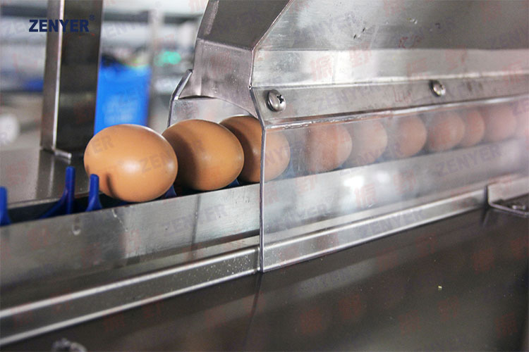 Сушка яиц. Машина для мойки, дезинфекции сушки яиц | модель: 200AS. Производительность: 2000 яиц в час.