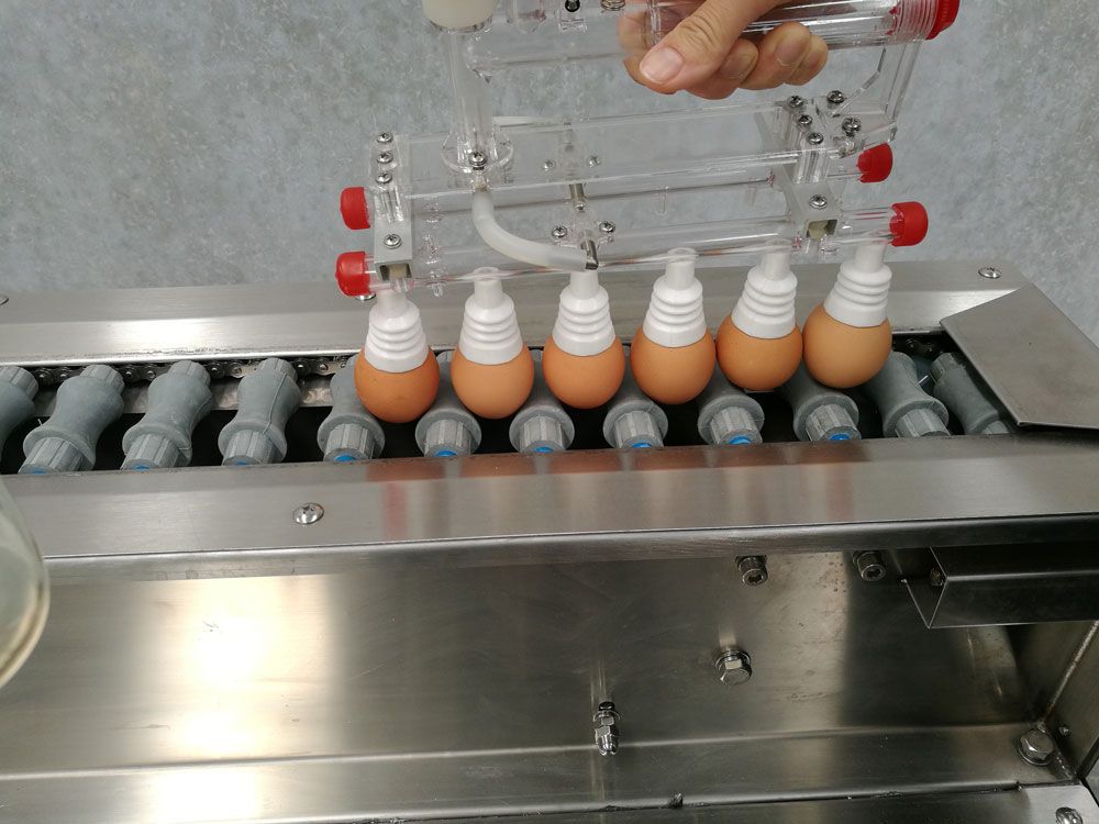 Вакуумный подъемник для загрузки яиц на конвейер. Машина для мойки, дезинфекции сушки яиц | модель: 201A. Производительность: 5000 яиц в час.